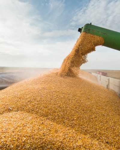 Transporte e Armazenagem de Grãos